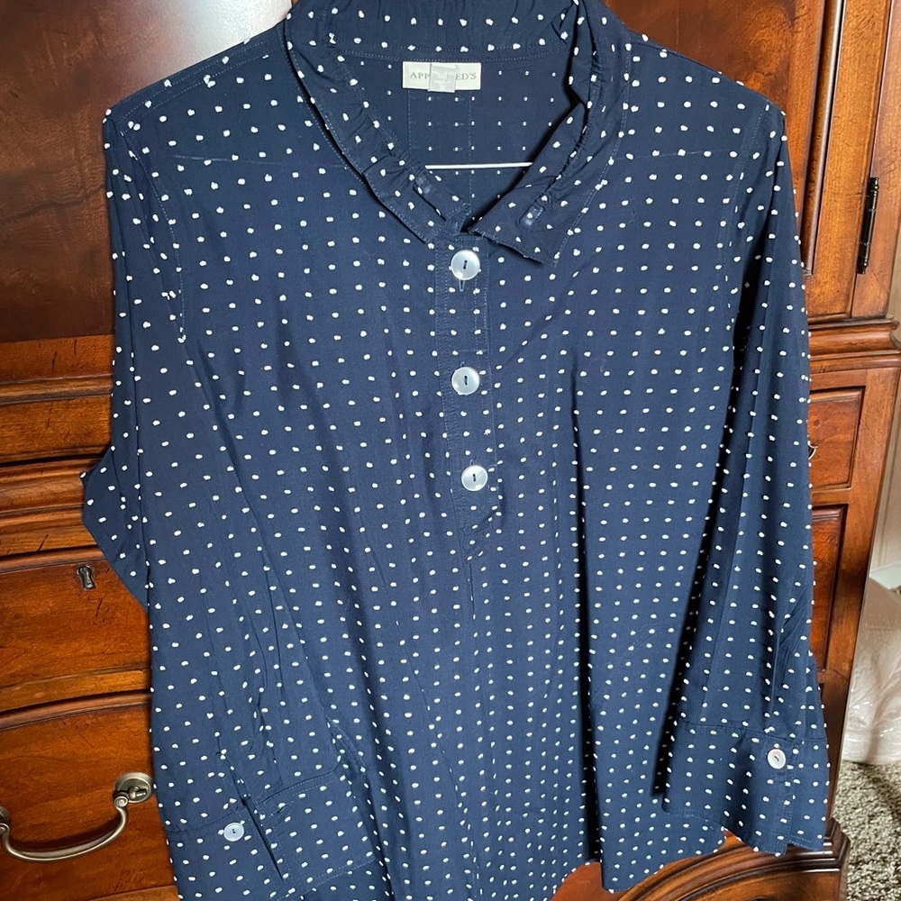 Appleseed’s blouse size 1X